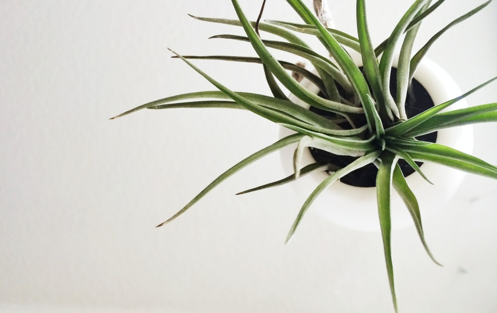 Blumentopf Air Planter