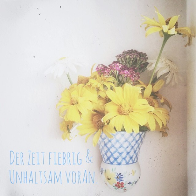 Der Zeit fiebrig & unaufhaltsam voran. Vor einer Ewigkeit hatte der legendäre Bass uns seitdem dort vor Sehnsucht gewittert.