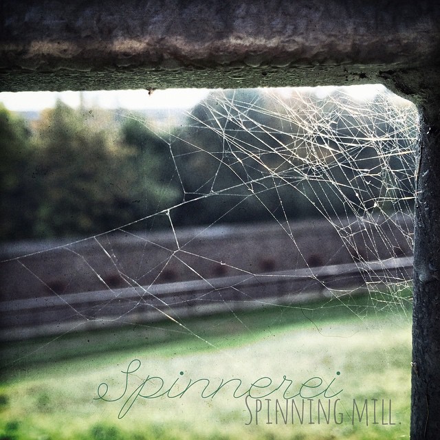 Im Herbst werden die Netze enger geknüpft. | Autumn spinning mill. Im Herbst werden die Netze enger geknüpft. | Autumn spinning mill.