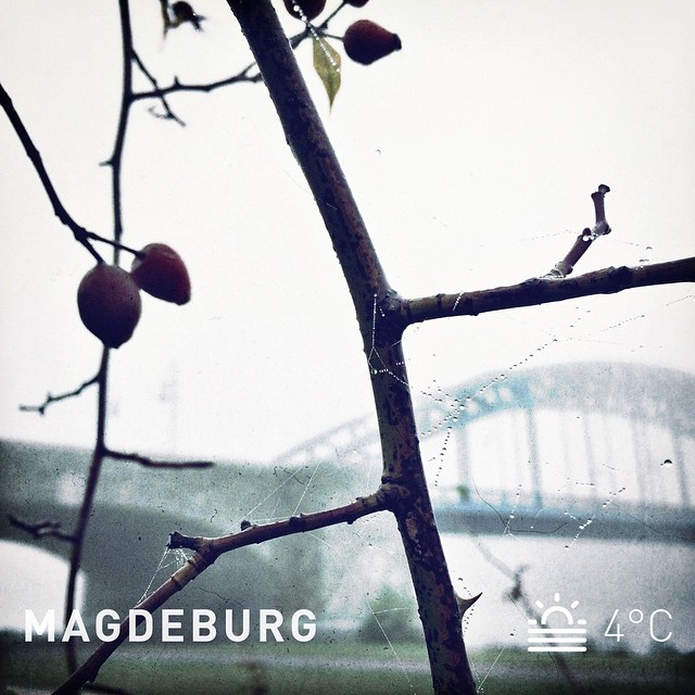 Hello foggy morning! I love this kind of weather. | Hallo schöner Nebelmorgen. Ich liebe diese Art Wetter. Hello foggy morning! I love this kind of weather. | Hallo schöner Nebelmorgen. Ich liebe diese Art Wetter.