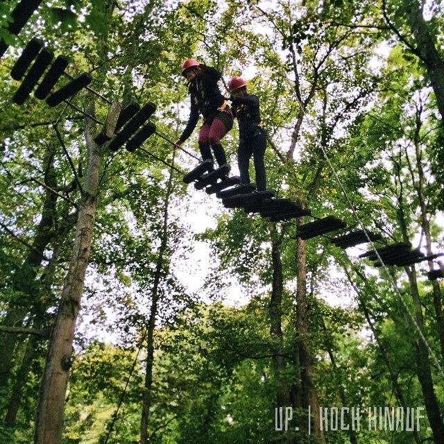 Up. | Hoch hinauf. | #erlebnispädagogik #Teamwork #Wald #quetzdölsdorf #hochseilgarten #tightrope Up. | Hoch hinauf. | #erlebnispädagogik #Teamwork #Wald #quetzdölsdorf #hochseilgarten #tightrope