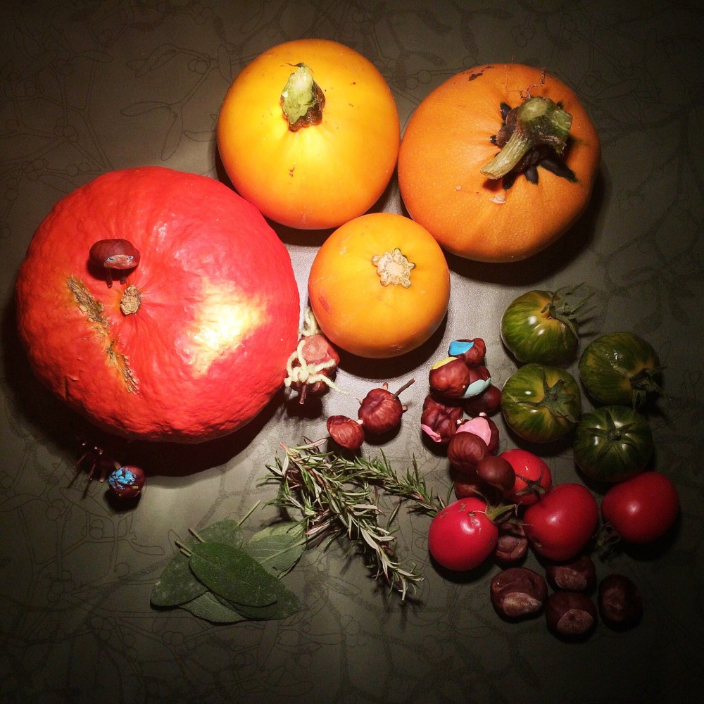 Die Zutaten aus dem Garten: Hokkaido, gelbe Zucchini, grüne und rote Tomaten, Salbei, Rosmarin
