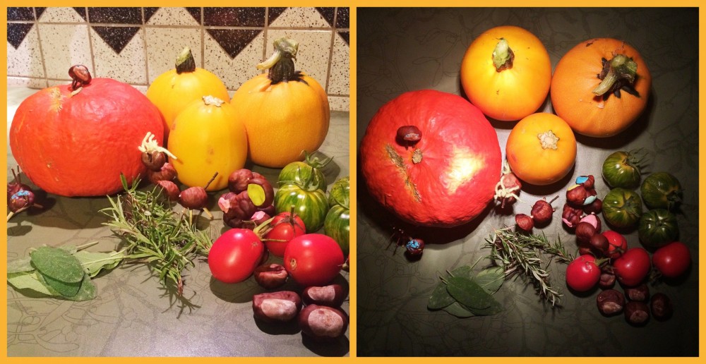 Die Zutaten aus dem Garten: Hokkaido, gelbe Zucchini, grüne und rote Tomaten, Salbei, Rosmarin