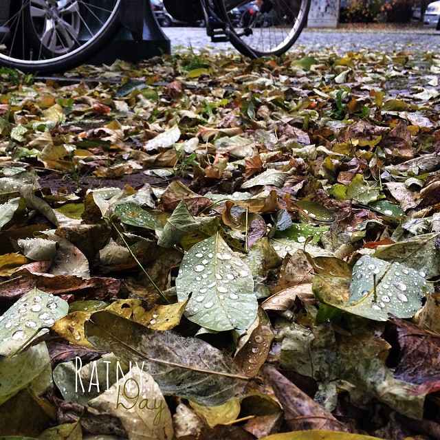 Cycle in the rain. | Radeln im Regen. Endlich Novemberwetter.