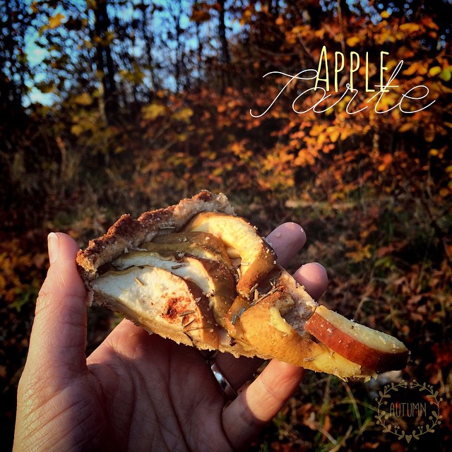 Vegan Apple-Tarte in the autumn-sun. | Apfel-Tarte (vegan) in der Herbstsonne.