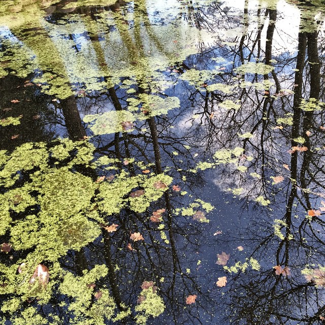 Swimming in the green sky.