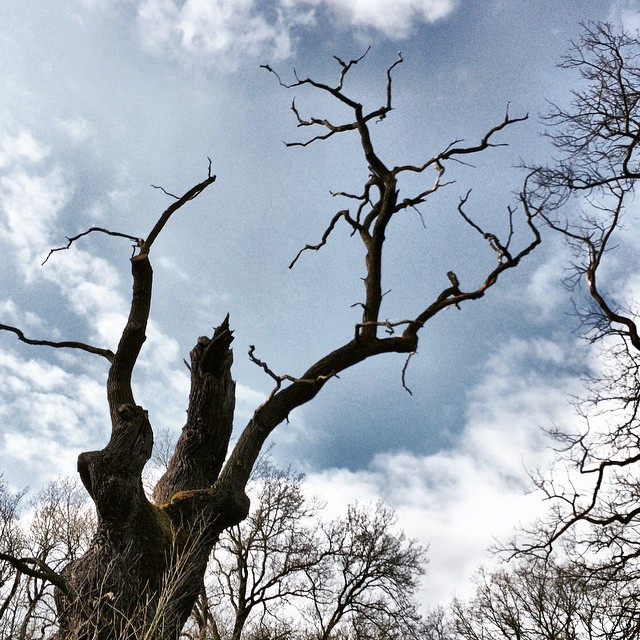 Catch the sky.