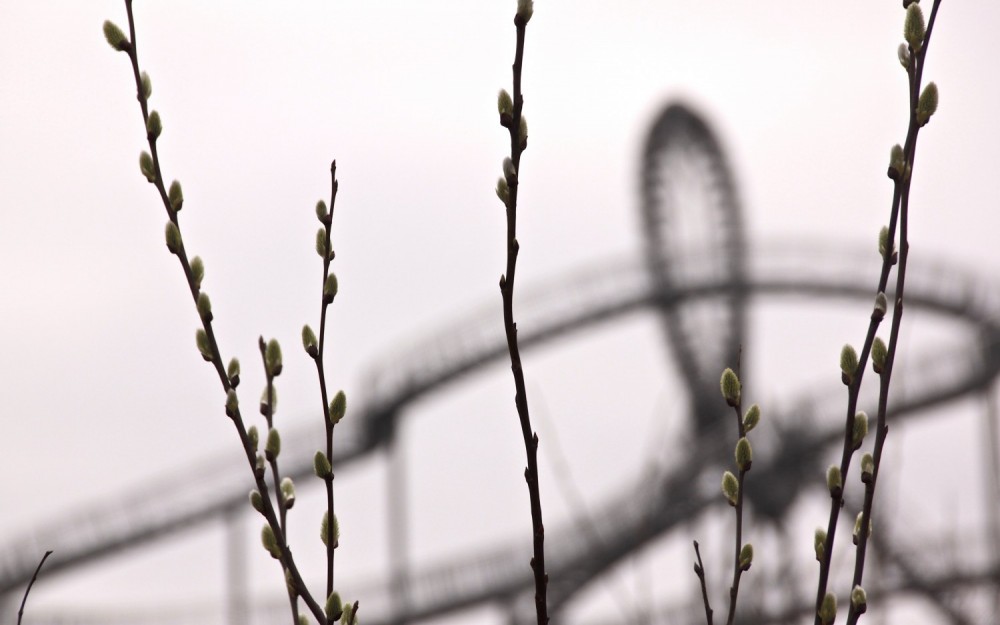Tiger & Turtle.