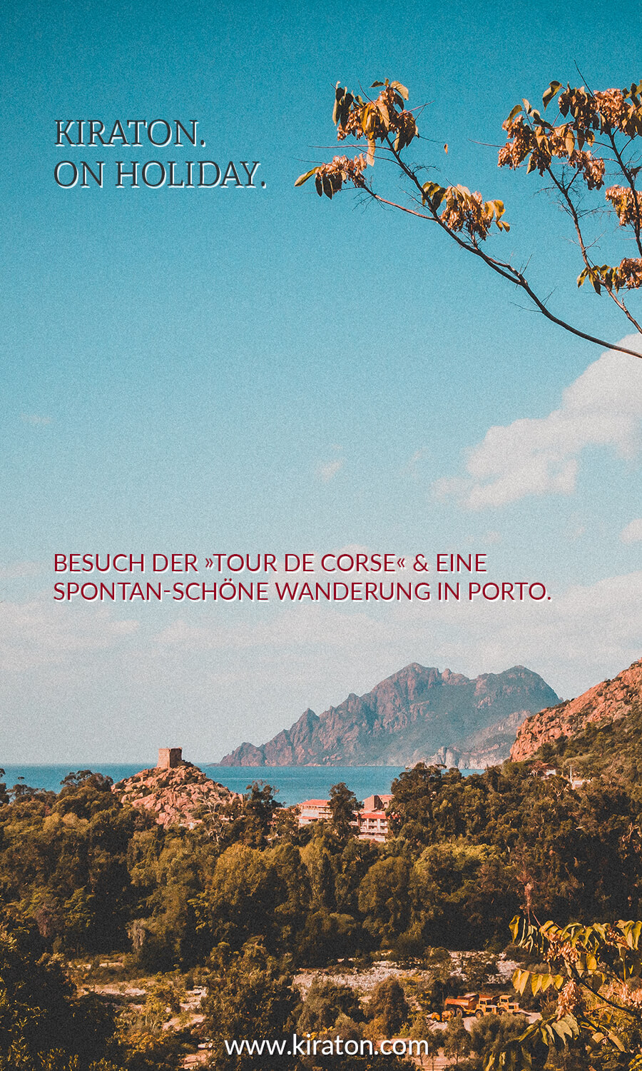 Blick auf Port, Korsika.