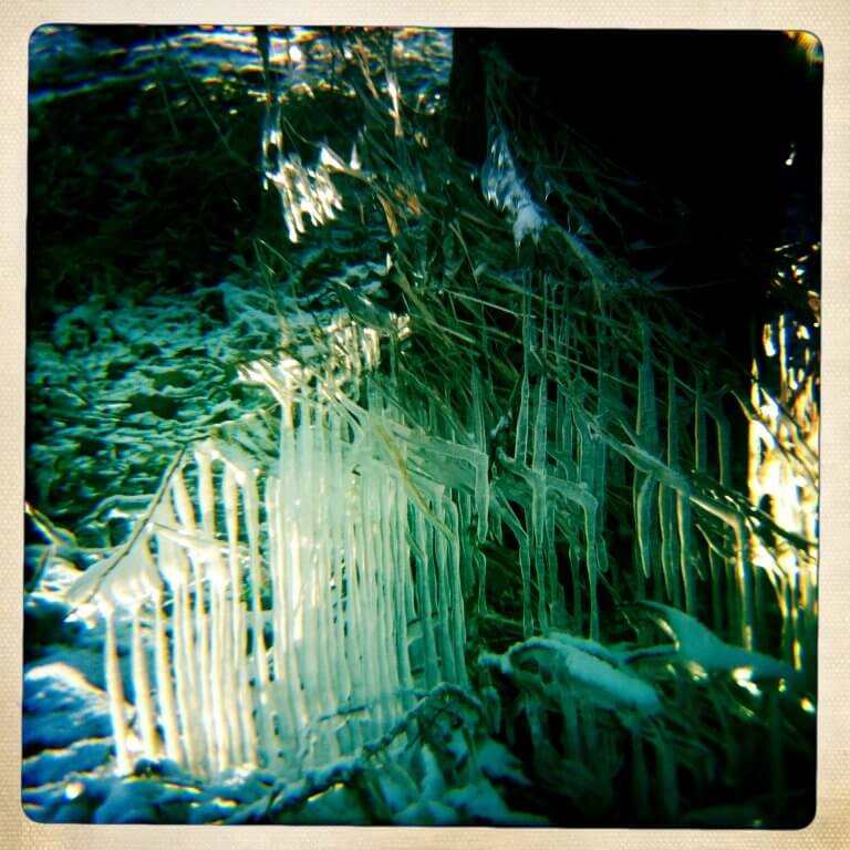Winterwonderland