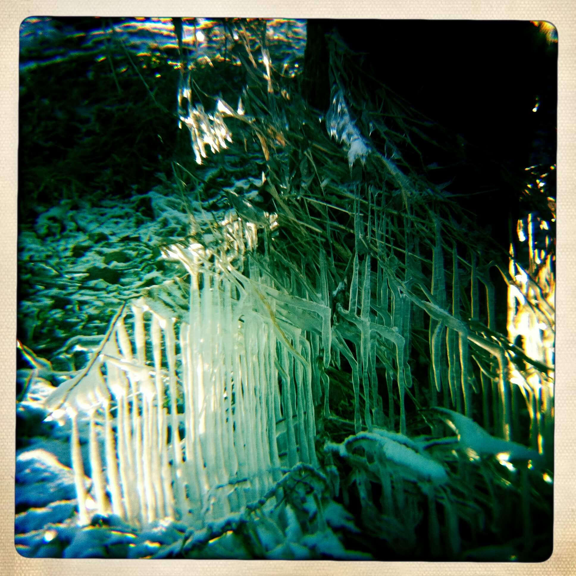 Winterwonderland Winterwonderland