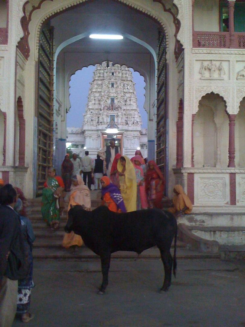 20121030-234833.jpg Vishnu-Tempel in Pushkar