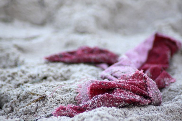 Strandgut VI | Foto: kiraton.com