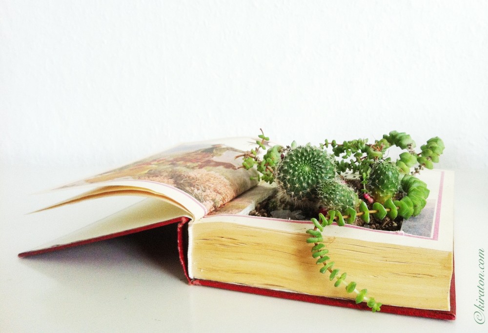 Schönes aus Büchern: Bepflanzte Bücher