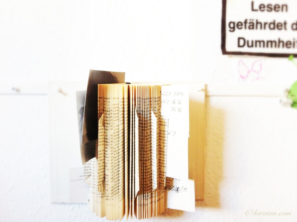 Schönes aus Büchern: Buchseitenfächer