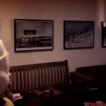 Schweinchen schaut sich die Ausstellung an.