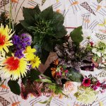 Blumenglückwünsche