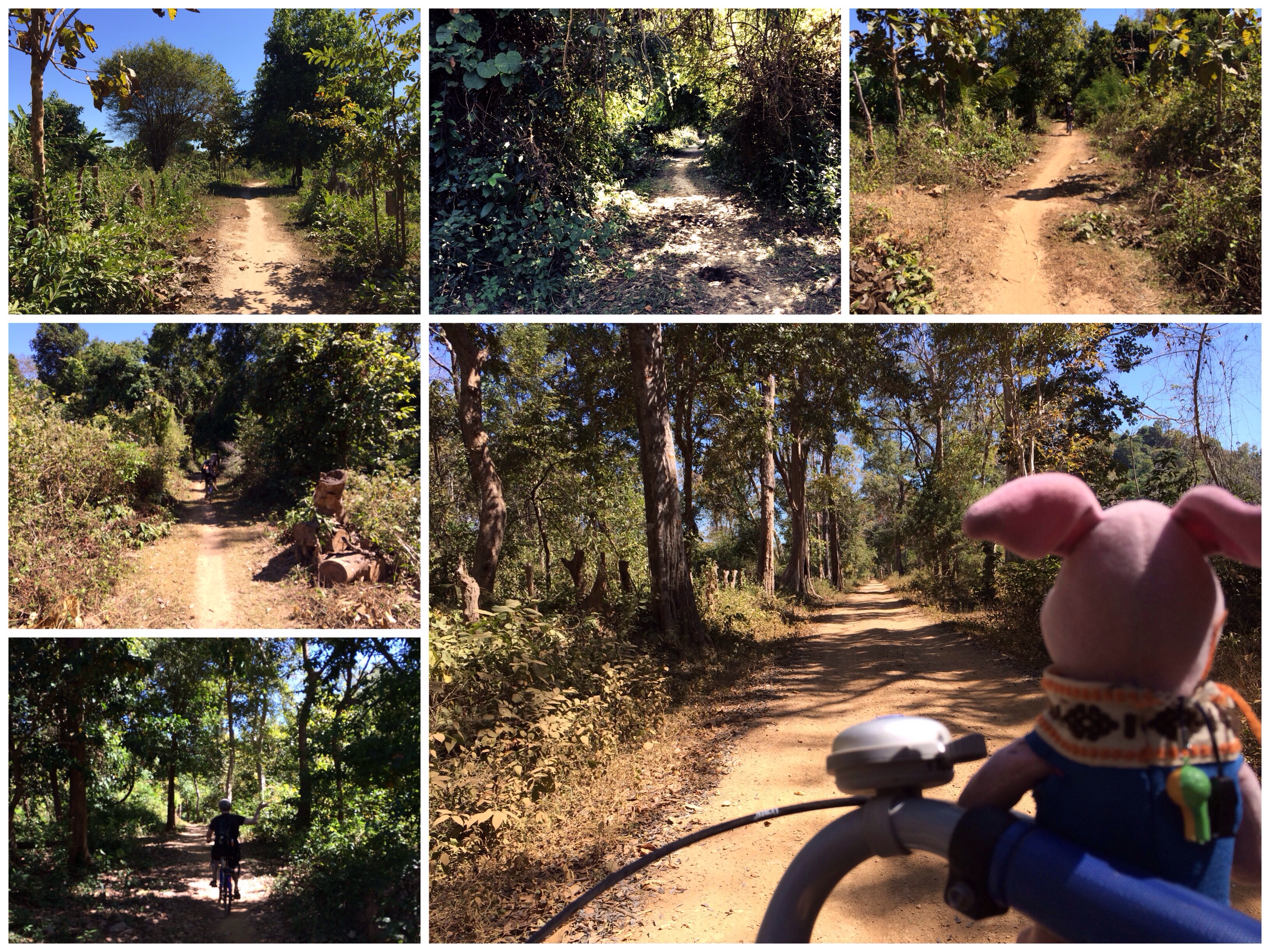 Radtour auf Don Khon.