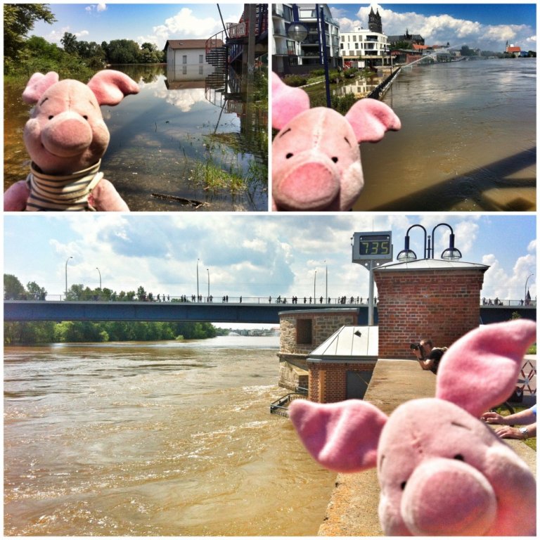 Hochwasser Magdeburg 2013