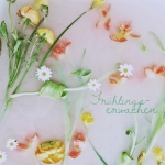 F.rühlingserwachen. #abcfee2015